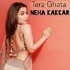  Tera Ghata - Neha Kakkar Poster